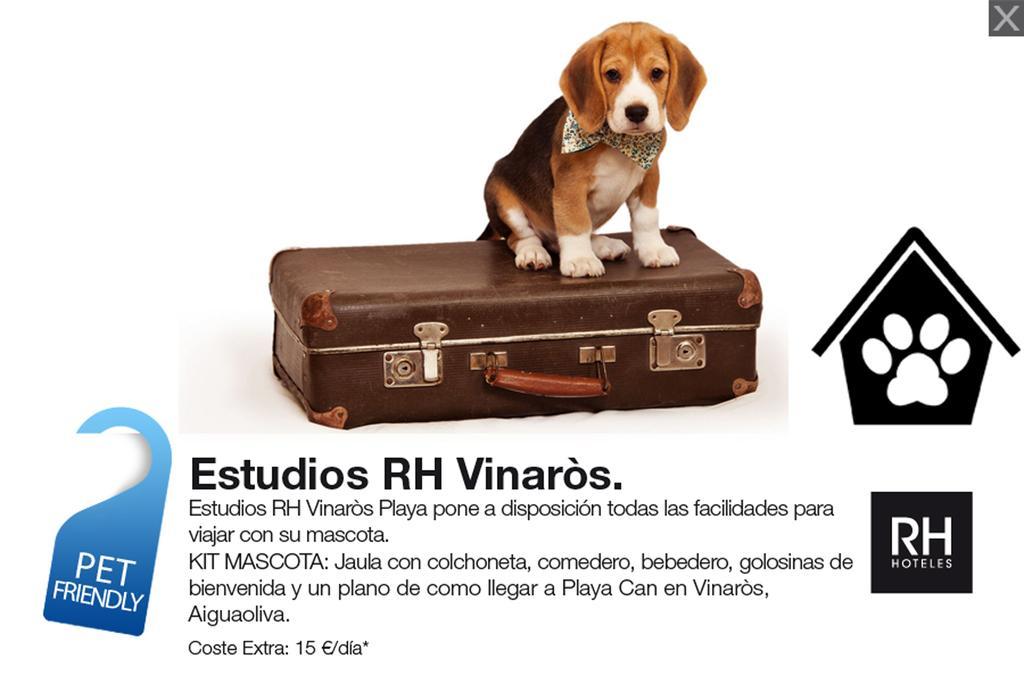 Apartment Estudios Rh Vinaros